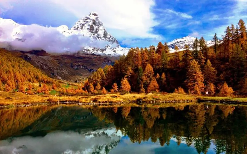 网络化环保